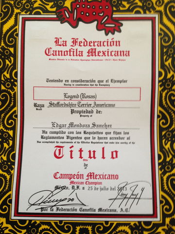lEGENG (ROSAS) CAMPEONA MEXICANA PROPIEDAD DEL SR. EDGAR MENDOZA